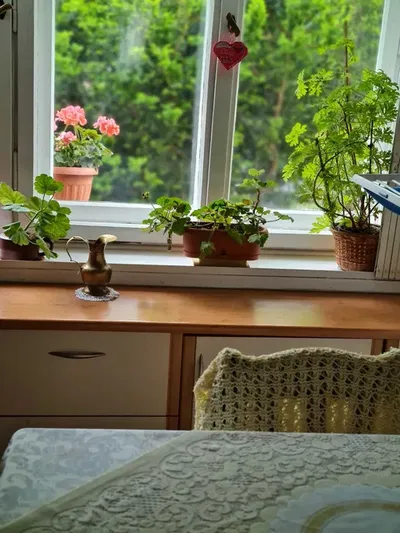 Do wynajęcia dwa pokoje na Saskiej Kępie - miniatura 3