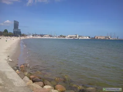 Wynajmę kawalerkę Gdynia przy morzu