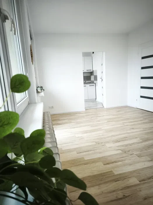 PRZESTRONNA KAWALERKA 36 m² | centrum Gliwic | 1500 ZŁ - 1/8