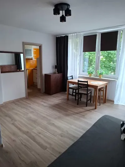 Wynajmę kawalerkę 30m2 + balkon - po remoncie, od zaraz - miniatura 4