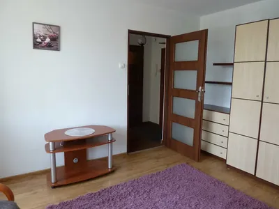 Właściciel wynajmie kawalerkę, duży balkon, osobna kuchnia - miniatura 5