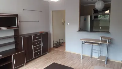Kawalerka do wynajęcia - miniatura 2
