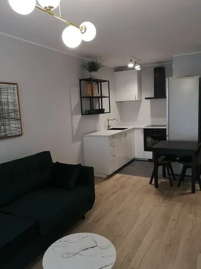 Do wynajęcia nowe mieszkanie z ogródkiem - miniatura 3