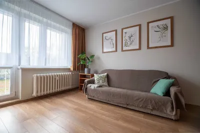 Przestronna kawalerka z osobną kuchnią w cichej okolicy 1 Maja - miniatura 3