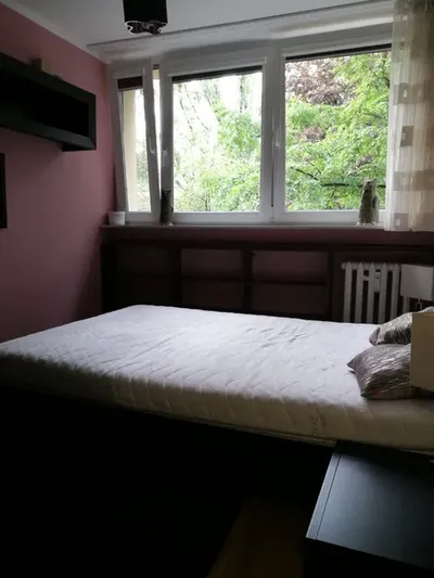 Piękne Mieszkanie na Wynajem Wrocław ulica Zielinskiego 84- pierwsze piętro - miniatura 5