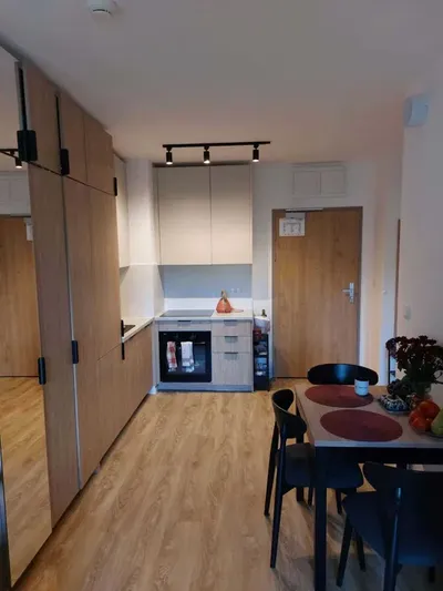 36m, ul. Okulickiego, bezpośrednio, pet friendly. - miniatura 4
