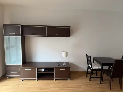 Wynajmę 1-pokojowe mieszkanie wraz z aneksem kuchennym - miniatura 5