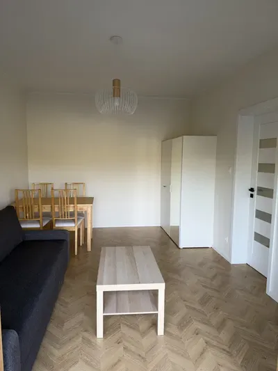 Mam do wynajęcia 2 pok mieszkanie na poznańskim Grunwaldzie - miniatura 4