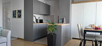 Kawalerka / Studio, nowoczesne, po remoncie, 30 m2, wyposażone, balkon, bez pośrednika! - miniatura 4