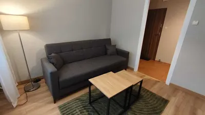 Komfortowa kawalerka, 24m2, parter - os. PIASTA - miniatura 2