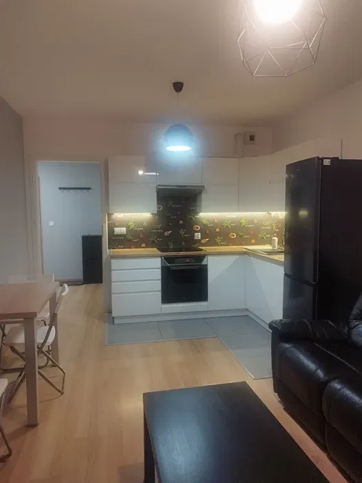 Mieszkanie Kraków Mała Góra 45m - 1/7