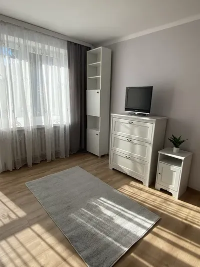 Mieszkanie w centrum (przy Alei Bluesa) do wynajęcia - miniatura 3