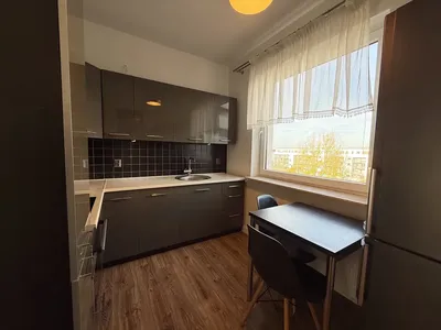 Inflancka 20/nowe budownictwo/Rataje/ zwierzolubne :) idealne dla pary - miniatura 2
