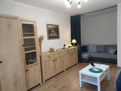 Kawalerka 30,5 m² | po remoncie | balkon | ogród | centrum - miniatura 3