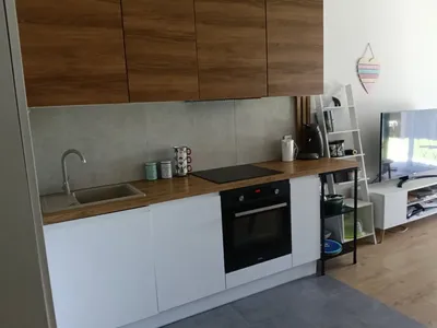 Wynajmę mieszkanie dwupokojowe z ogrodkiem - miniatura 2