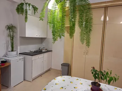 Apartament 25 m2 w domku z ogródkiem – Mały Płaszów, ul. Myśliwska - miniatura 2