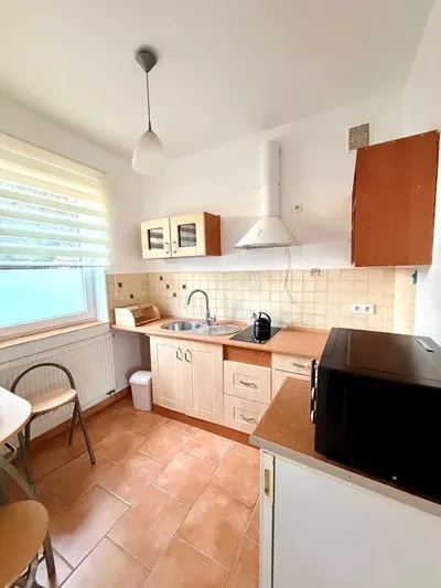 Do wynajęcia studio – Rzeszów, Zalesie - miniatura 3