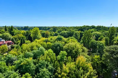 Wyjątkowe mieszkanie z widokiem na Park Stawiki – 72 m² | Sosnowiec - miniatura 5