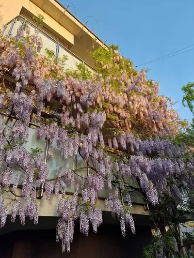 Przestronne 78 m² na Targówku | 3 pokoje | taras | garaż | garderoba | klimatyzacja