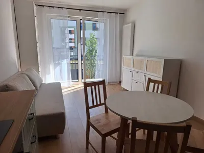 Nowe mieszkanie do wynajęcia / 2 pokojowe / Złocień - miniatura 3