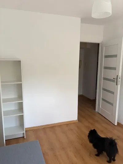 Pokoj do wynajęcia dla studentki - miniatura 2