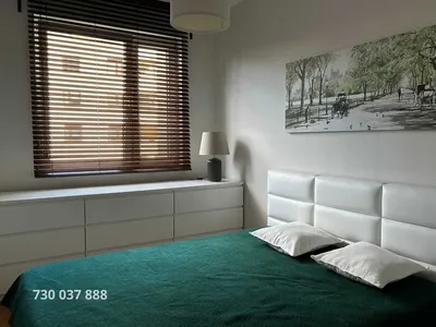 Zielony Apartament na Zaciszu - miniatura 5