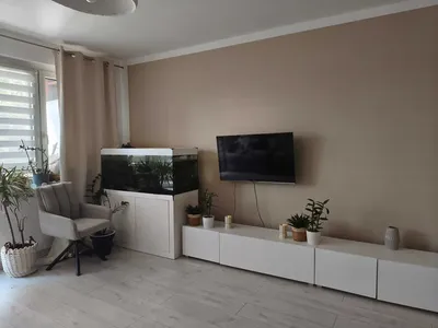 Wynajmę mieszkanie płonia - miniatura 3