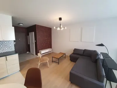 nowe designerskie 39m2 - pok+kuchnia, Wiślane Tarasy 2.0, właściciel - miniatura 4