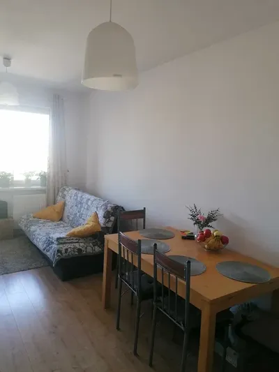 Mieszkanie 3 pokoje/bezpośrednio/Pilsudskiego/Rataje/tereny zielone - miniatura 2