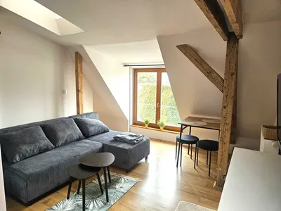 Klimatyczna kawalerka w apartamentowcu centrum ul.Garbary 2100 zł - miniatura 3