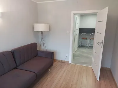 Mieszkanie 2-pokojowe, 55m2 Kraków-Rybitwy - miniatura 2