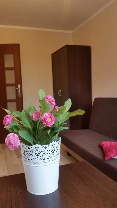 Duży pokój jednoosobowy w super lokalizacji - miniatura 3