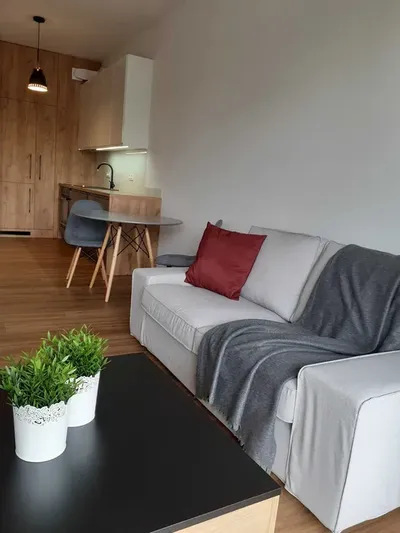 Do wynajęcia 2-pokojowy apartament z tarasem i garażem, Katowice Kępowa - miniatura 2