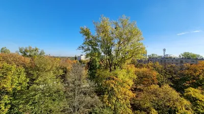 Wynajmę kawalerkę 25,5 m² z balkonem | Warszawa, ul. Darwina | 5 piętro | PL/ENG - miniatura 2