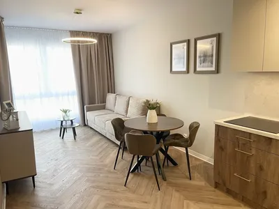 Nowe, klimatyczne mieszkanie 2 pokojowe | POZNAŃ Wagrowska 19A | +miejsce postojowe - miniatura 3