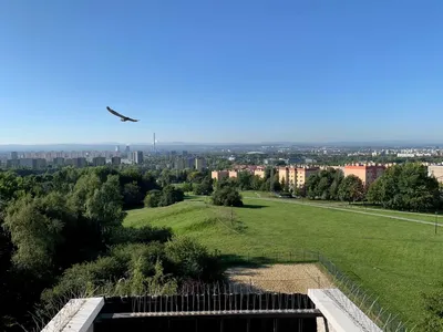 Słoneczna kawalerka z balkonem | Przy Parku Tysiąclecia | Piękny widok na południe - miniatura 5