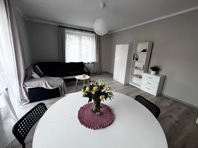 Mieszkanie do wynajęcia Dębniki 49m2 - miniatura 2