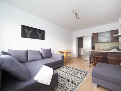 2 pokojowe | balkon | klimatyzacja | ok. ul. Lea - miniatura 2