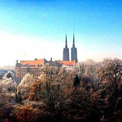 pokój jednoosobowy Ostrów Tumski - 1/9