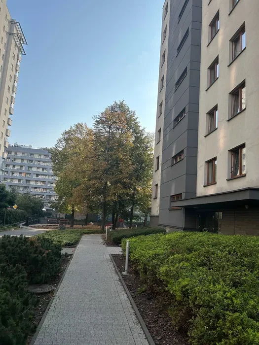 Do wynajęcia 49 m- 2 pokoje Wola ul Radziwie 5 - 2700 zł z miejscem postojowym w cenie - 1/8