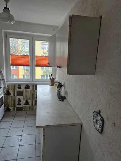 Pokój Wyżyny wolne od zaraz - miniatura 4