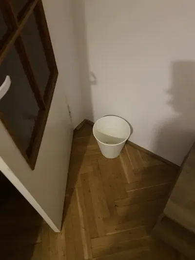 POKOJ OD ZARAZ Gdansk żabianka - miniatura 3