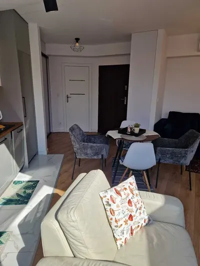 Wynajmę studio apartamenrowiec - miniatura 3