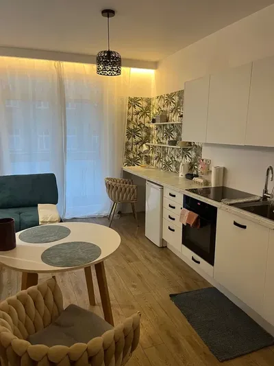 Apartament w Centrum Łodzi ,siłownia i tarasy na dachu - miniatura 3
