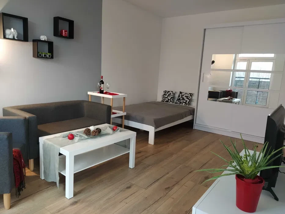 Wynajmę nowoczesne mieszkanie 30,5 m2 z oddzielną kuchnią i balkonem - 1/6