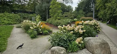 Kawalerka z widokiem na Park Centralny, przy bulwarze - miniatura 3