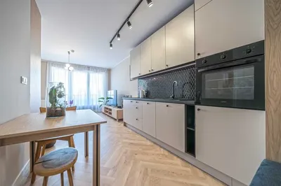 Mam do wynajęcia apartament 30 m2 - miniatura 2