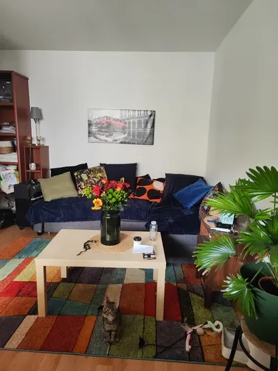 Szukam współlokatorki - miniatura 3