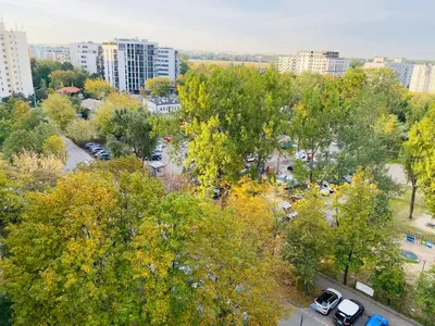 Wynajmę 37m na zielone Bielany ul.Bogusławskiego 4 plus piwnica - miniatura 4