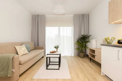 Nowy apartament 27m2 | Bez prowizji! | Zwierzęta mile widziane! Voucher na Start! - miniatura 2